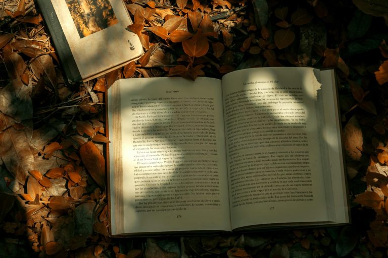 An open book lying on dry leaves, evoking a vintage and literary feel.