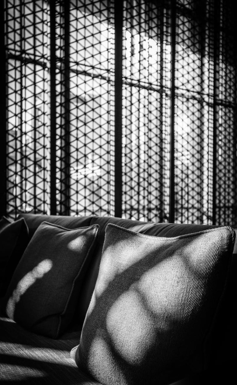 A sophisticated black and white image of a couch with cushions, highlighted by sunlight patterns.