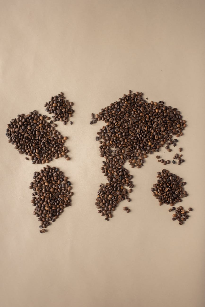 Creative flatlay of coffee beans forming a world map on beige background.