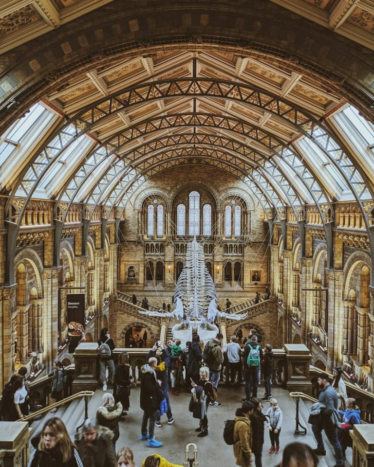 Explore the stunning architecture and buzzing atmosphere of London's Natural History Museum.